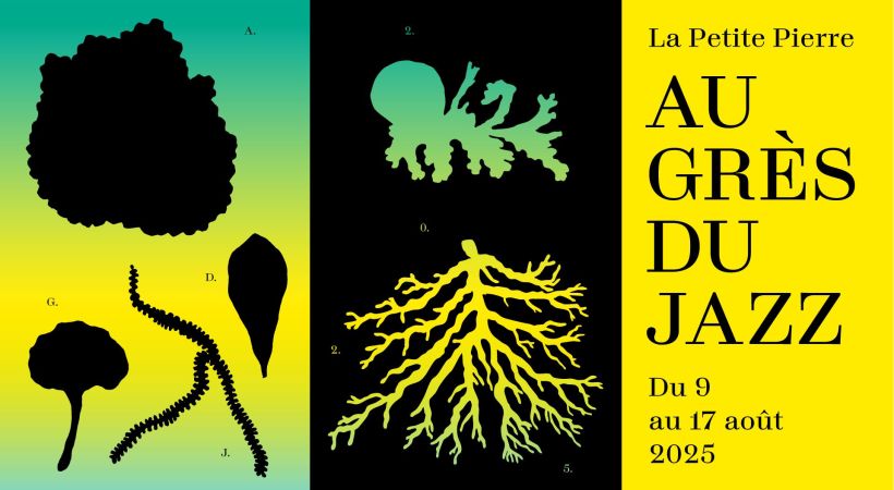 Concert jazz du 11/08